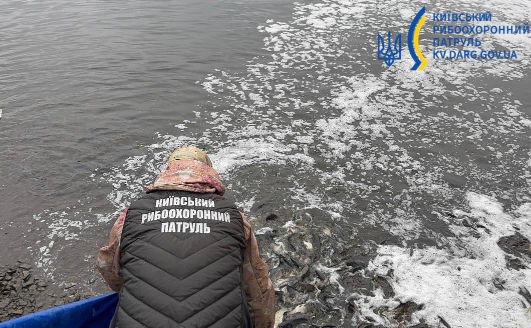 Водойма поповнилася товстолобами, коропами та білим амуром