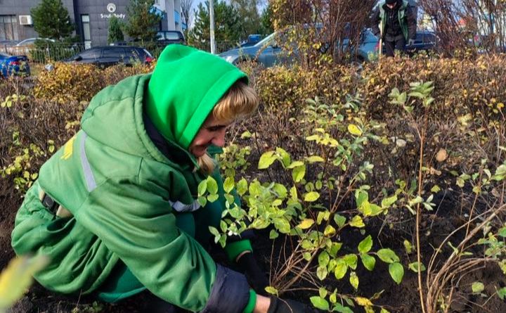Висадження кущів на Оболоні. Фото: КП УЗН Оболонського району