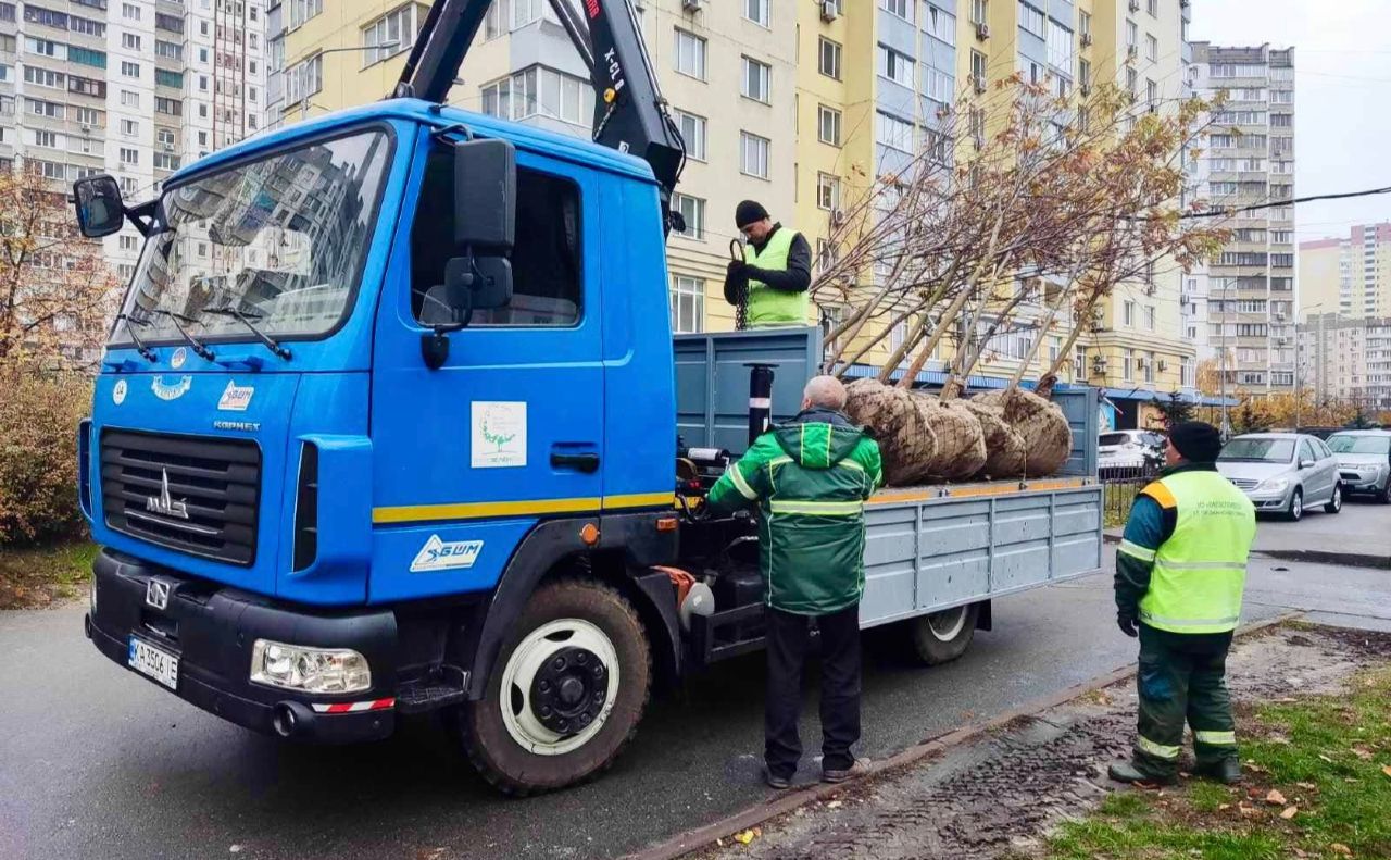 Крупноміри висадили у Деснянському та Солом’янському районах. Фото: Київзеленбуд