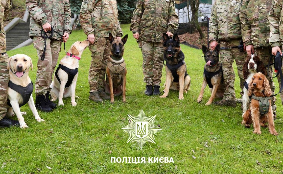 У Києві службові собаки поліції виявили понад 50 кг наркотиків