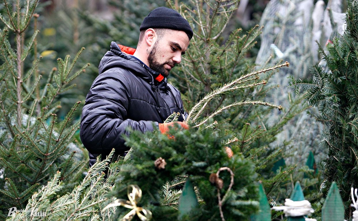 Купити натуральні ялинки чи дерева, зібрані з гілок, можна буде в усіх районах столиці. Фото: Борис Корпусенко