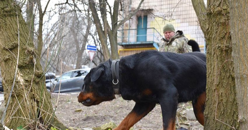 Ілюстративне фото з відкритих джерел