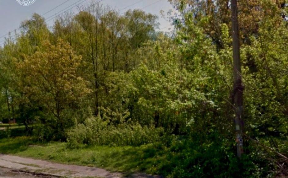 У цих хащах нібито стояла споруда. Фото: КМП