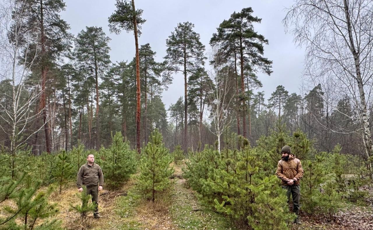 Охорона біля ділянок вирощування сосон. Фото: КП Дарницьке ЛПГ