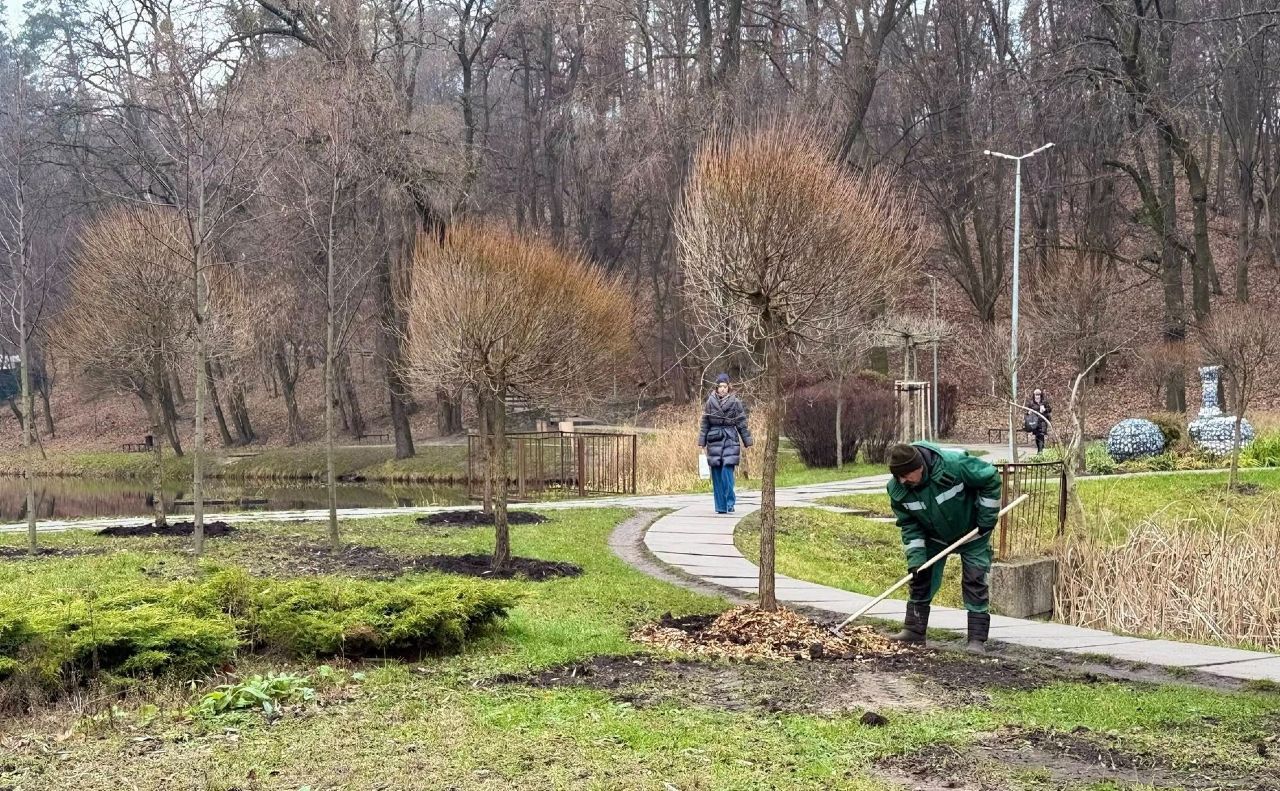 Нові верби в парку «Сирецький гай». Фото: КП УЗН Подільського району