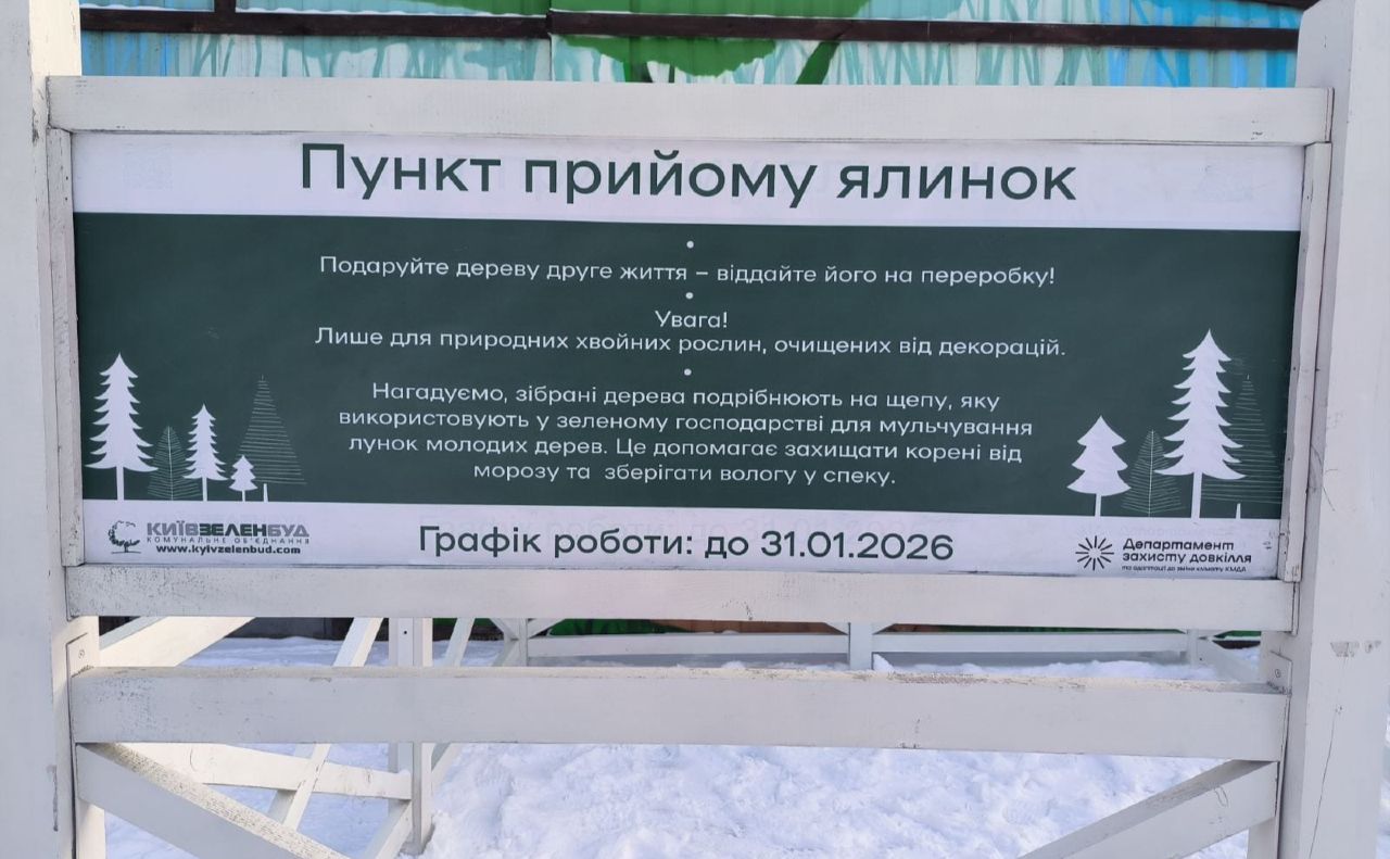 Із пунктів прийому новорічні дерева передають на екологічну утилізацію. Фото КМДА