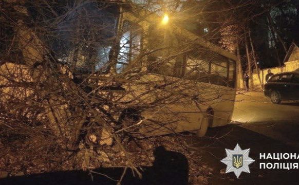 Дерево зупинило зловмисника. Фото: поліція Києва