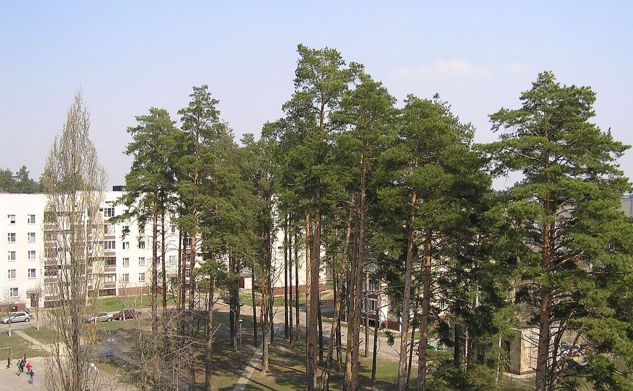 Житлові будинки Славутича. Фото: Nikoys