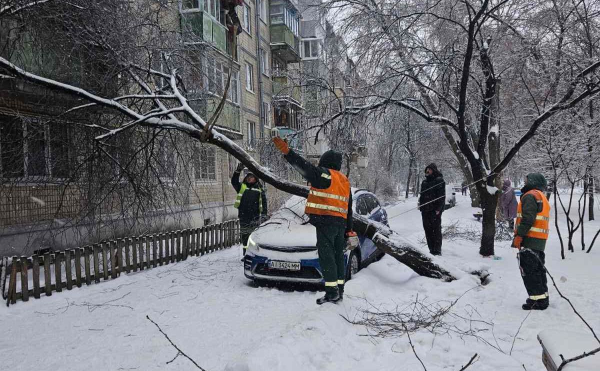 Зеленбудівці прибирають повалене негодою дерево. Фото: КП «Київзеленбуд»