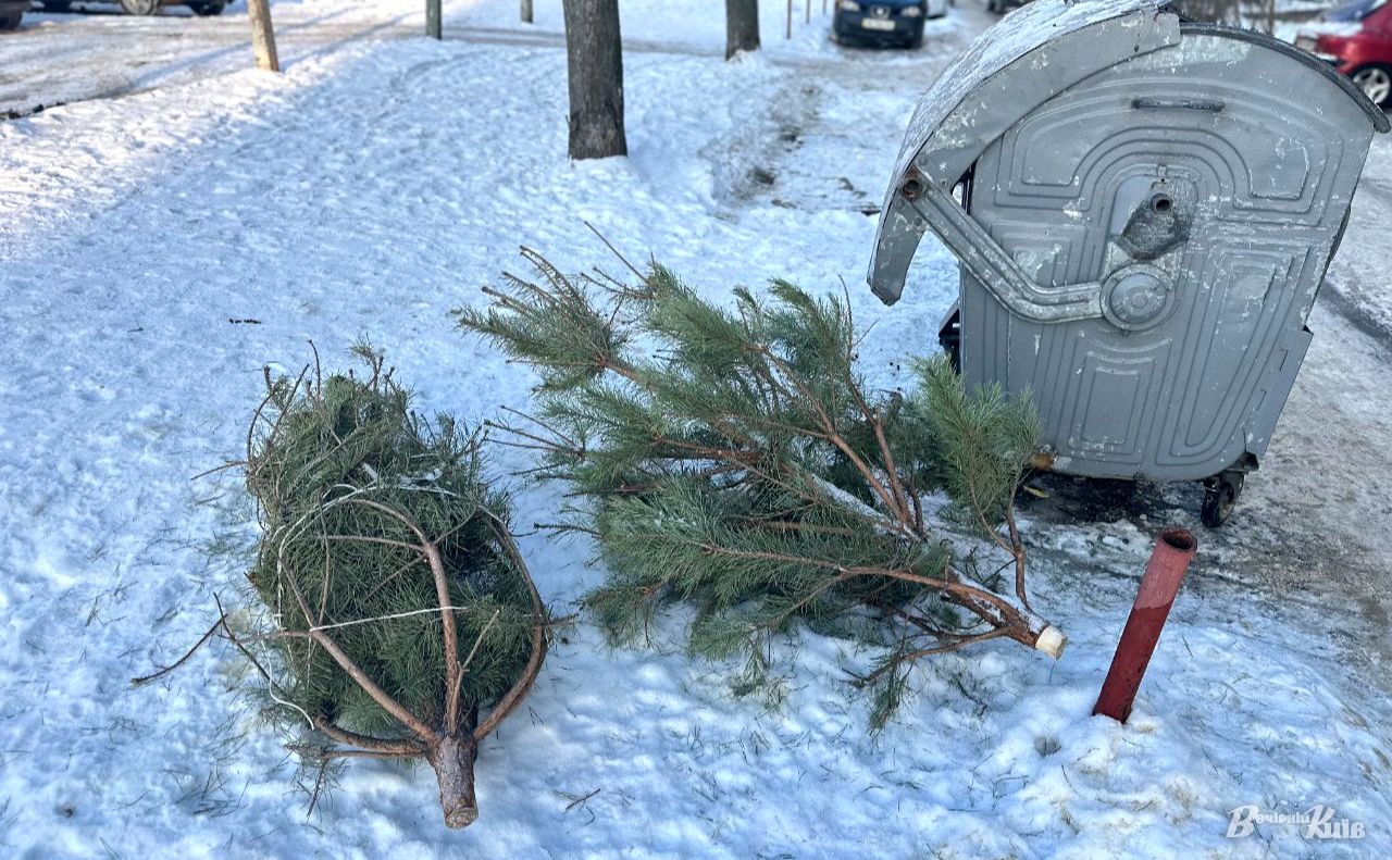 Після свят кияни позбуваються ялинок. Фото: Даша Гришина