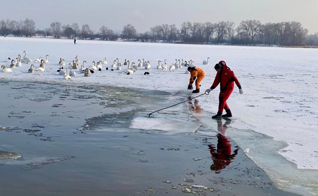 Розбили лід у парку «Наталка». Фото: КП «Плесо»