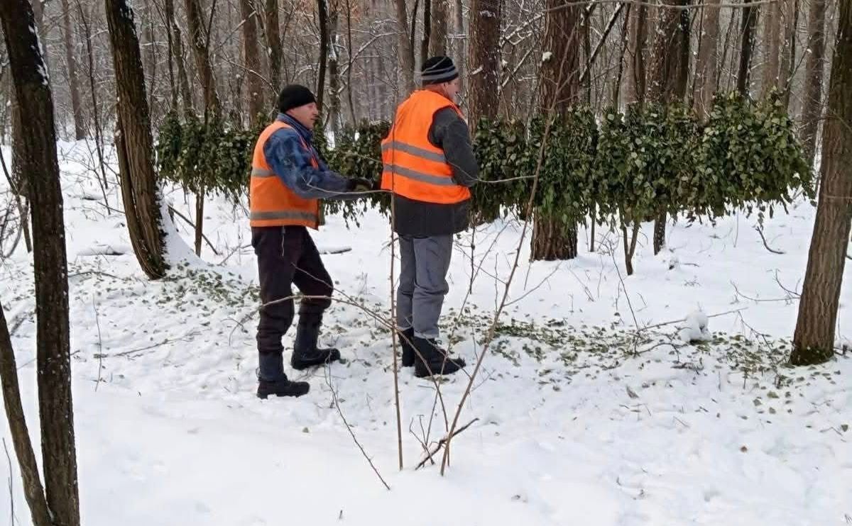 Підгодівля триватиме до весни. Фото: Київзеленбуд
