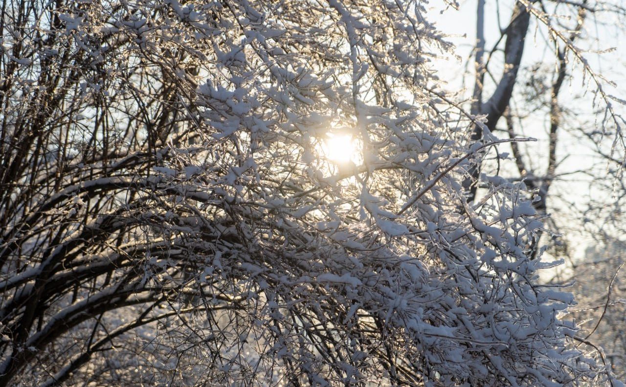 Зимові погодні гойдалки у Києві. Фото: Олексій Самсонов