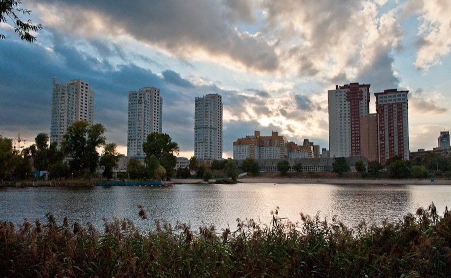 Березняки. Ілюстративне фото з відкритих джерел