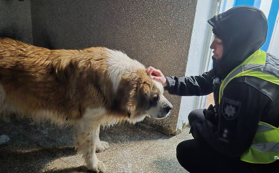 У поліції закликають громадян не залишатися байдужими до тварин. Фото: поліція