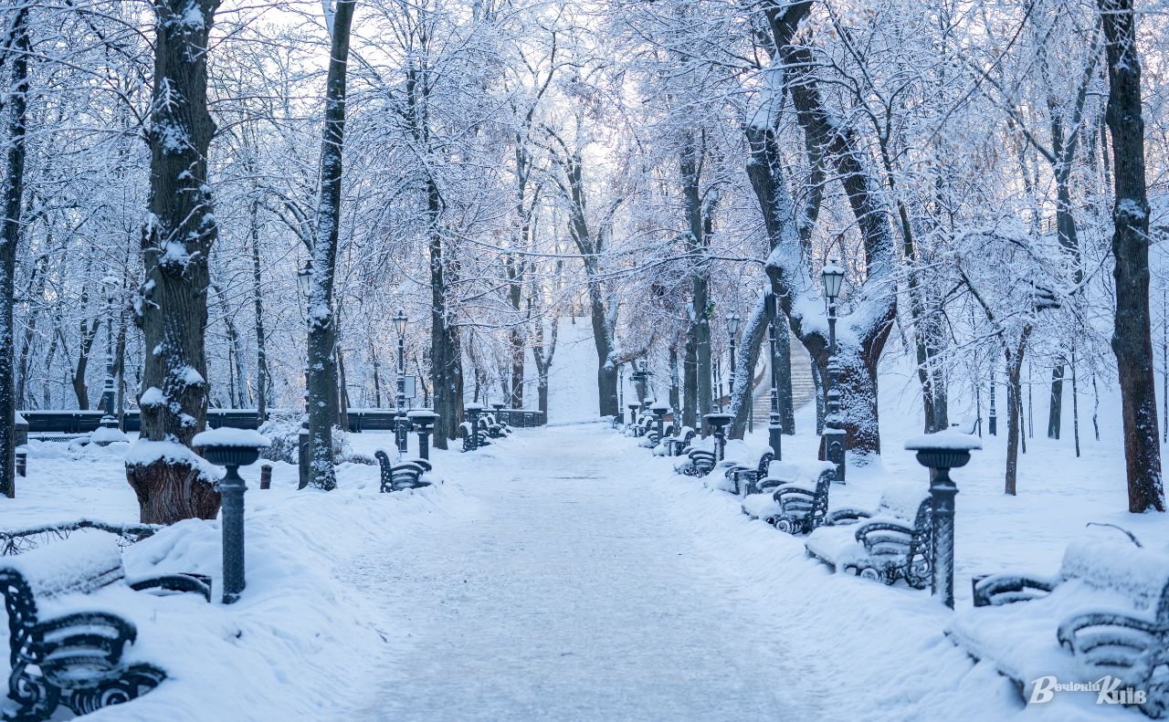 Фото ілюстративне: Олексій Самсонов