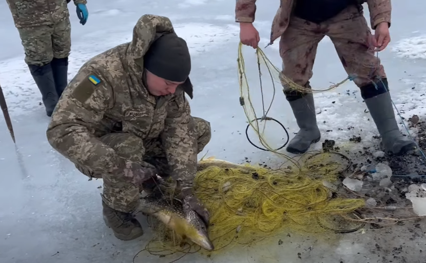 Скриншот з відео