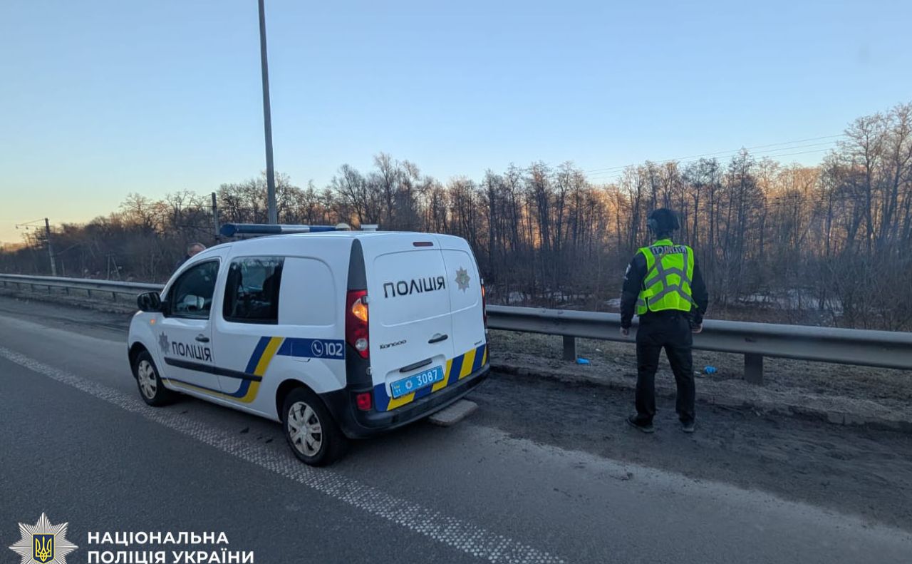 У Києві в лісі знайшли нерозірваний «шахед»