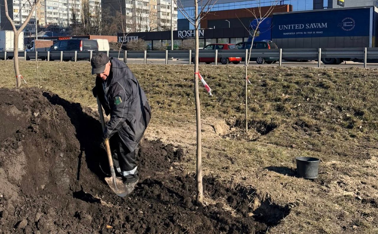 Висадження дерев на Кільцевій дорозі. Фото: КП УЗН Голосіївського району