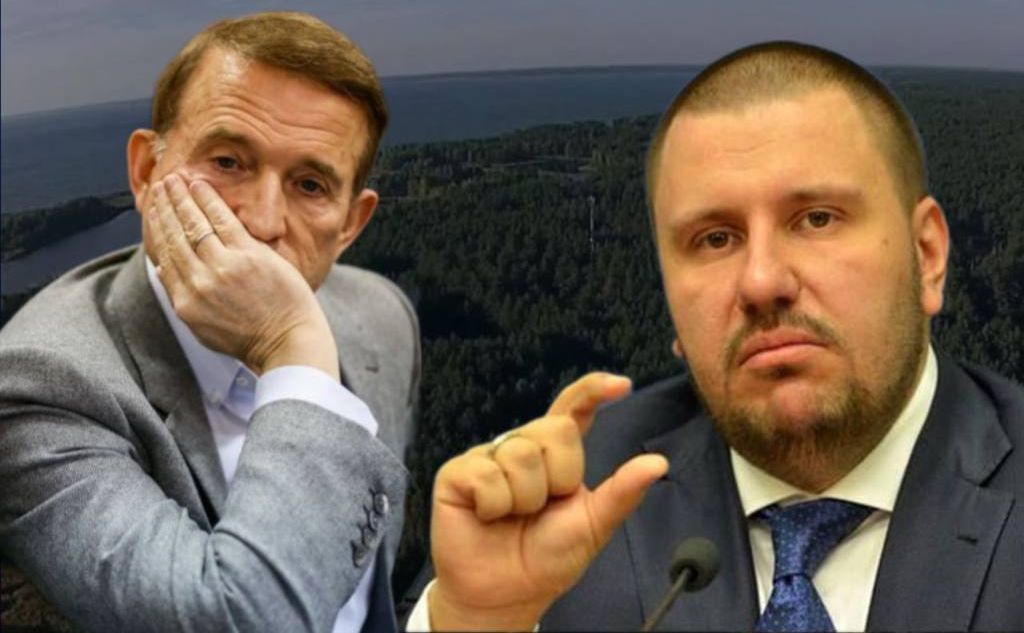 Суд передав державі майже 10 га лісу, який привласнили екснардеп Медведчук та ексміністром доходів і зборів часів Януковича Олександр Клименко. Колаж: Офіс генпрокурора
