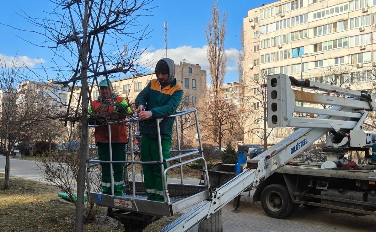 Формувальна обрізка дерев. Фото: КП УЗН Дніпровського району