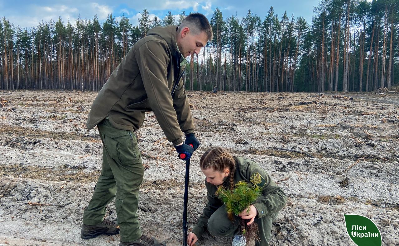 Діти та ветерани відновлювали ліс. Фото: Філія «Столичний лісовий офіс»
