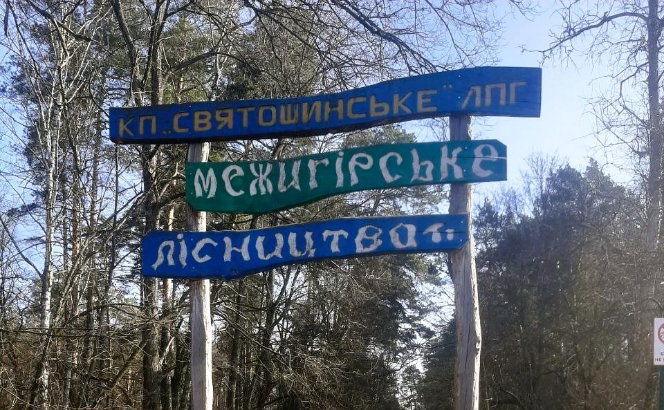 Фото: Святошинське ЛПГ