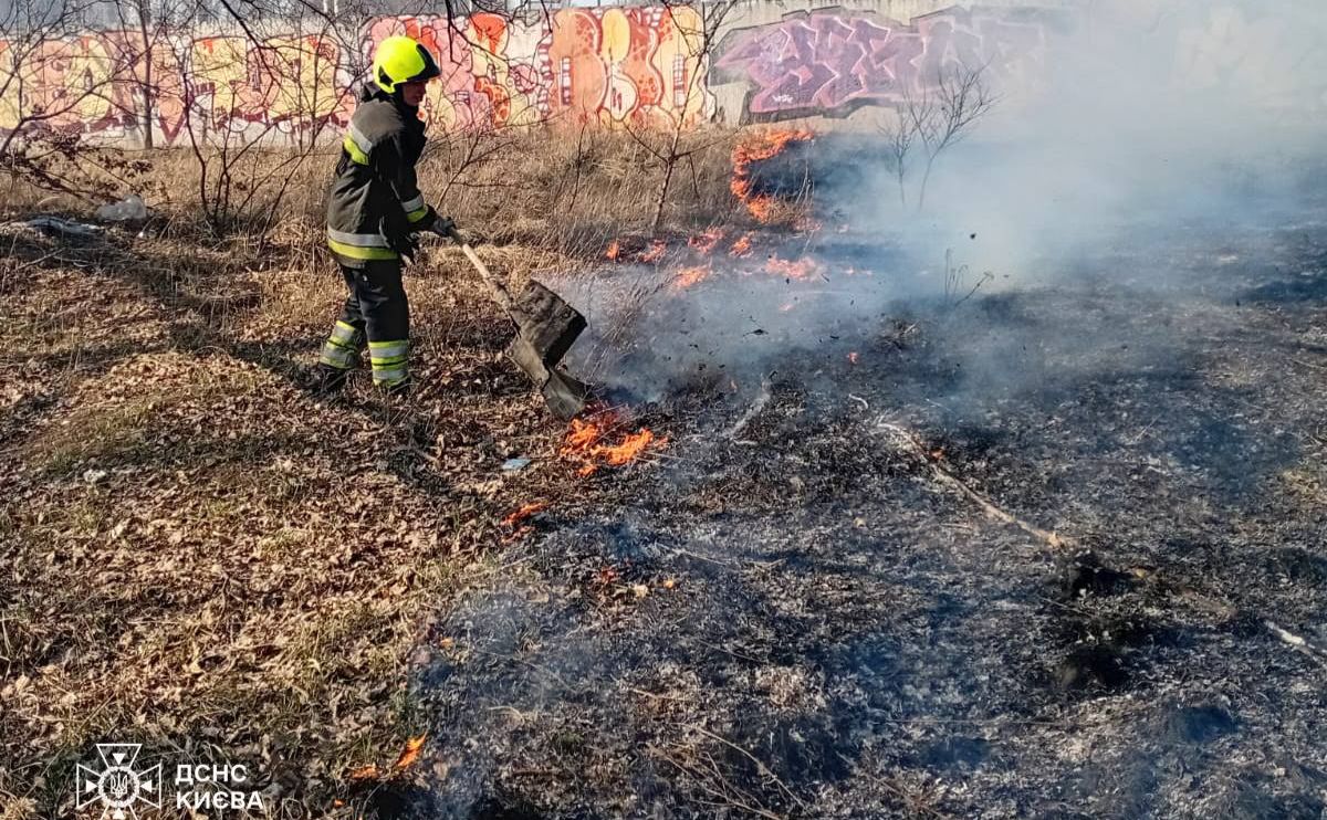Рятувальник ліквідовує займання сухостою. Фото: ДСНС