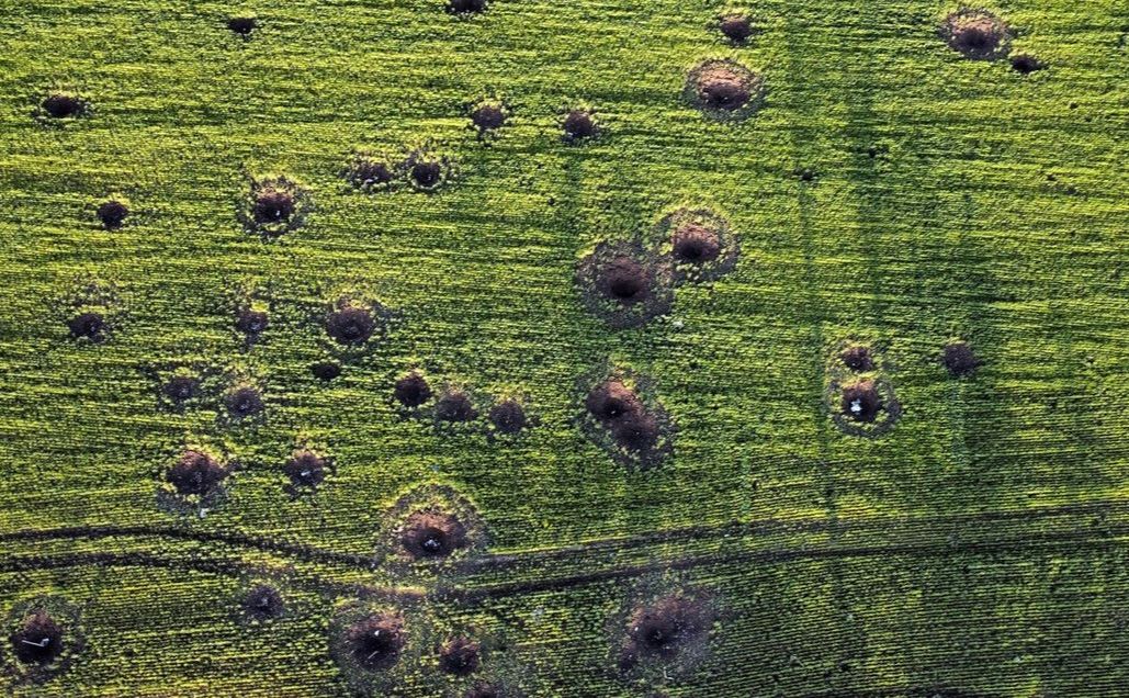 Ілюстративне фото з відкритих джерел.