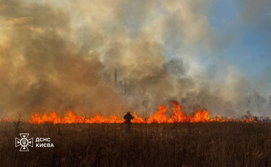 Пожежа в екосистемі столиці. Фото: ДСНС Києва