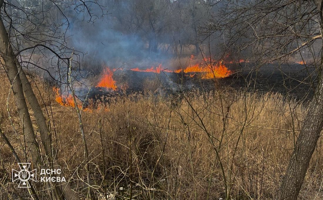 В Голосієві рятувальники гасили пожежу. Фото: ГУ ДСНС у м.Києві