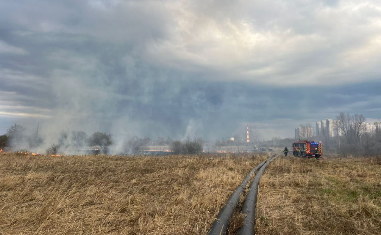Горить трава навколо міста. Фото: КМДА