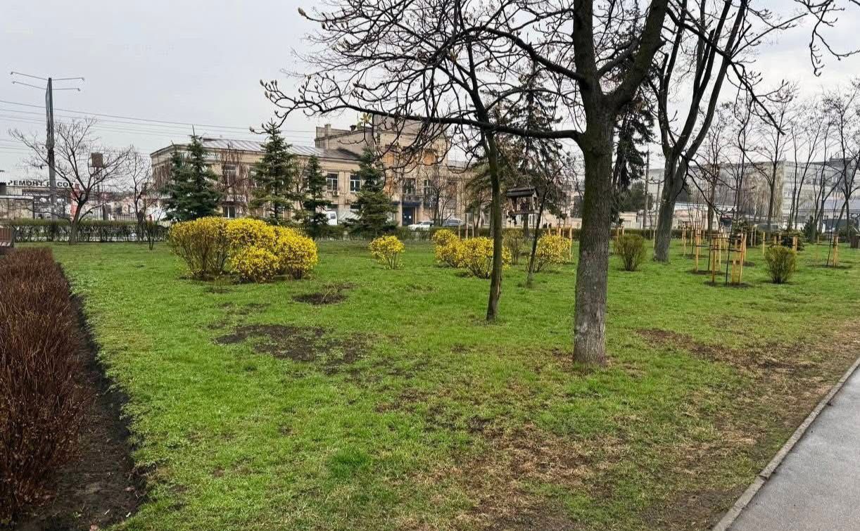 Оновлений сквер у Новій Дарниці. Фото: Департамент захисту довкілля та адаптації до зміни клімату КМДА