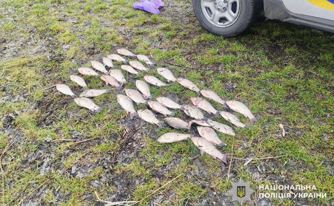 Фото: поліція Київщини