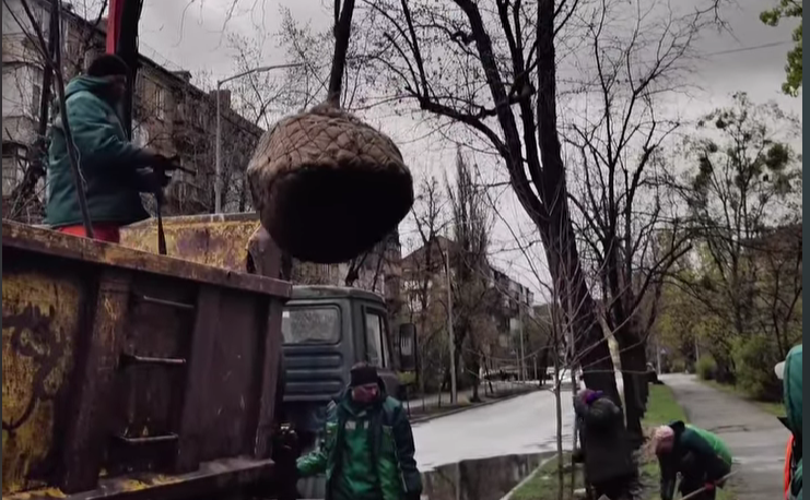 Висадка кленів. Фото: КП УЗН Дніпровського району