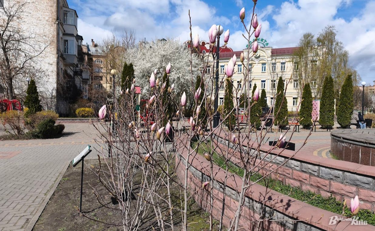 На Подолі весна. Фото: Катерина Новосвітня