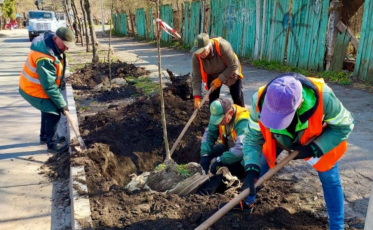Під час висадження дерев. Фото: КП УЗН Солом’янського району.