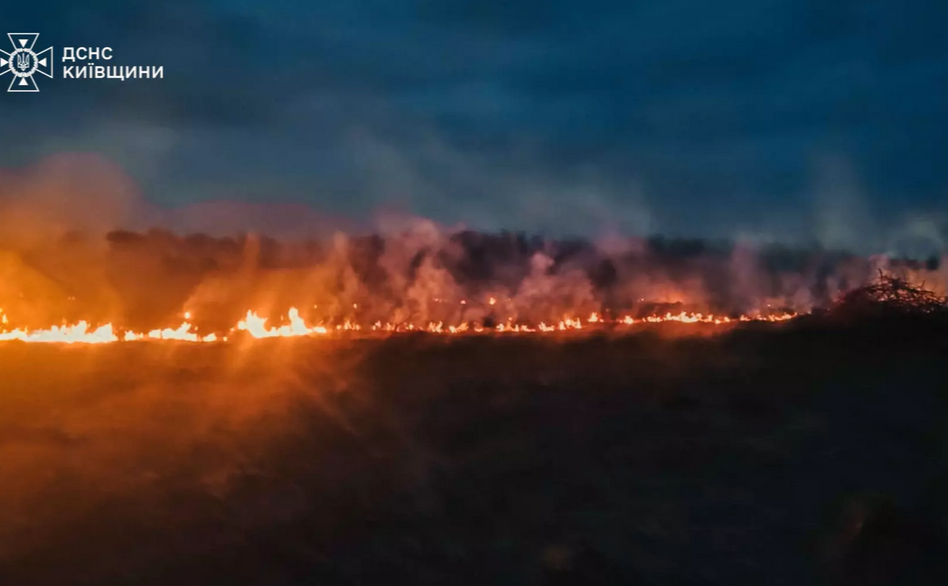 Пожежа на Київщині. Фото: ГУ ДСНС у Київській області