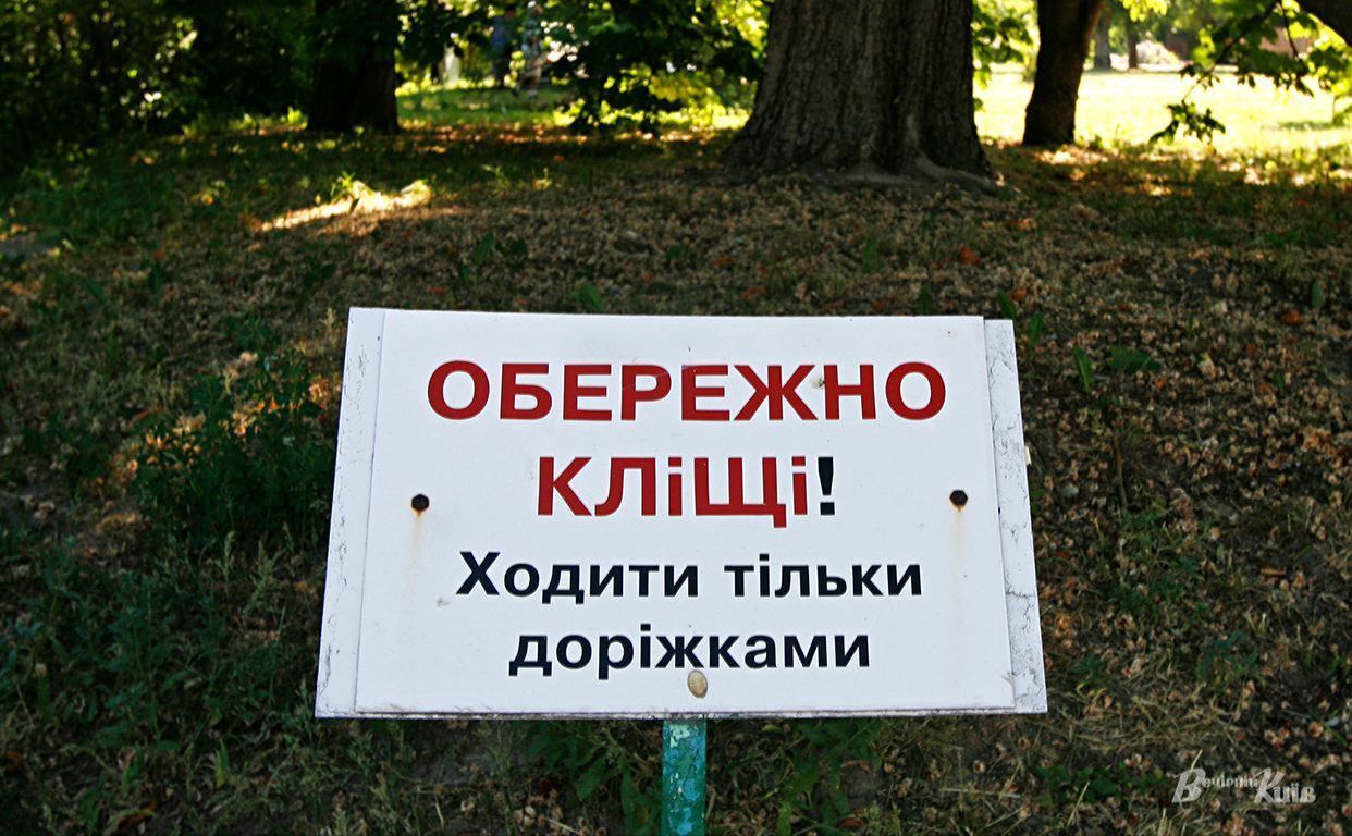 Попередження про кліщів у столичному парку. Фото ілюстративне: Борис Корпусенко