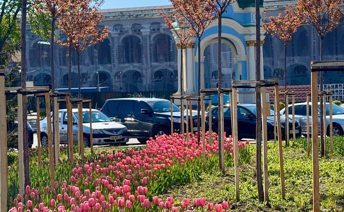 Тюльпани на Подолі. Фото: КП УЗН Подільського району