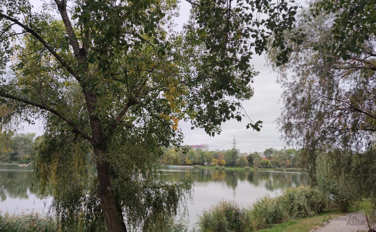 Озеро Вербне. Фото: «Вечірній Київ»
