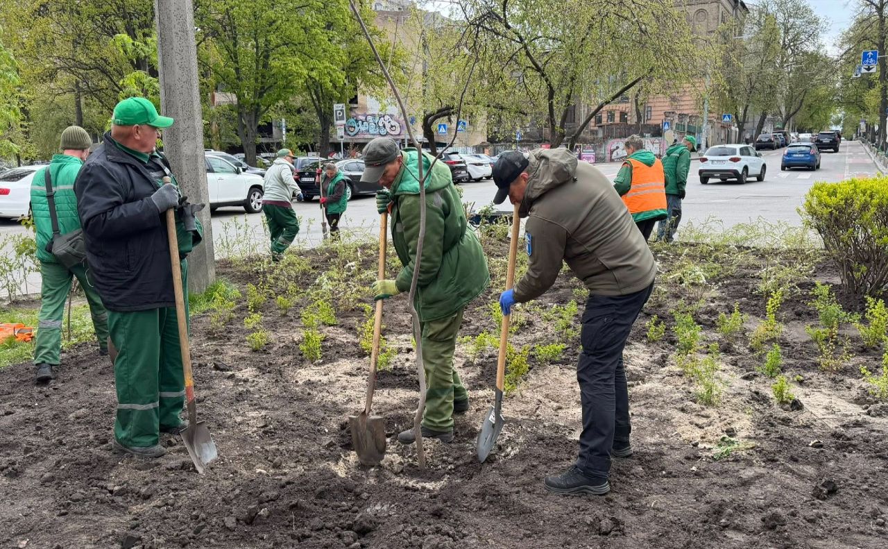 Висадження дерев і кущів. Фото: Департамент територіального контролю Києва