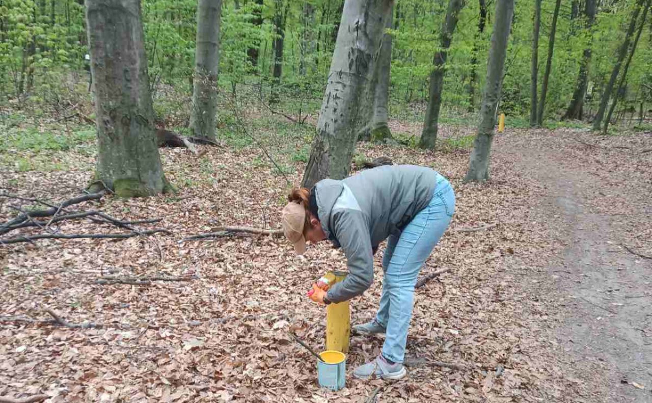 Фахівці наводять лад уздовж маршруту. Фото: НПП «Голосіївський»
