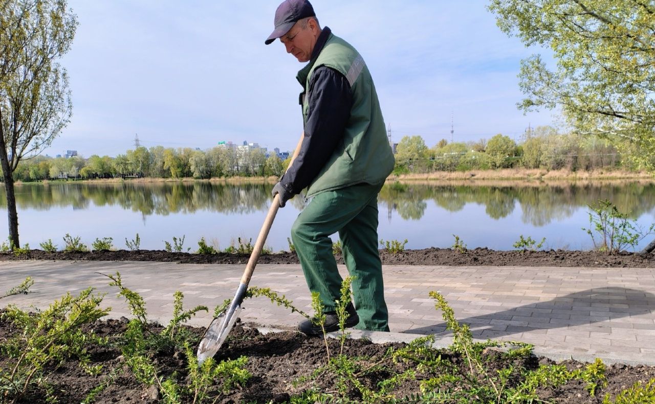 Працівник УЗН на Оболоні під час висадки дерев. Фото: УЗН Оболонського району