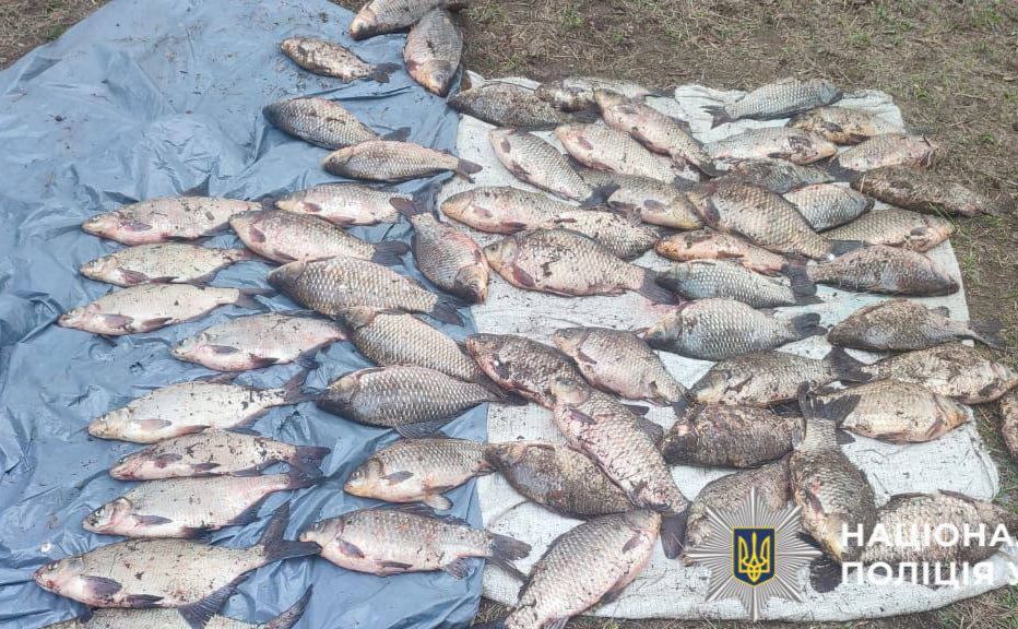 Поліція Київщини документує наслідки незаконного вилову риби під час нересту. Фото: Поліція Київщини
