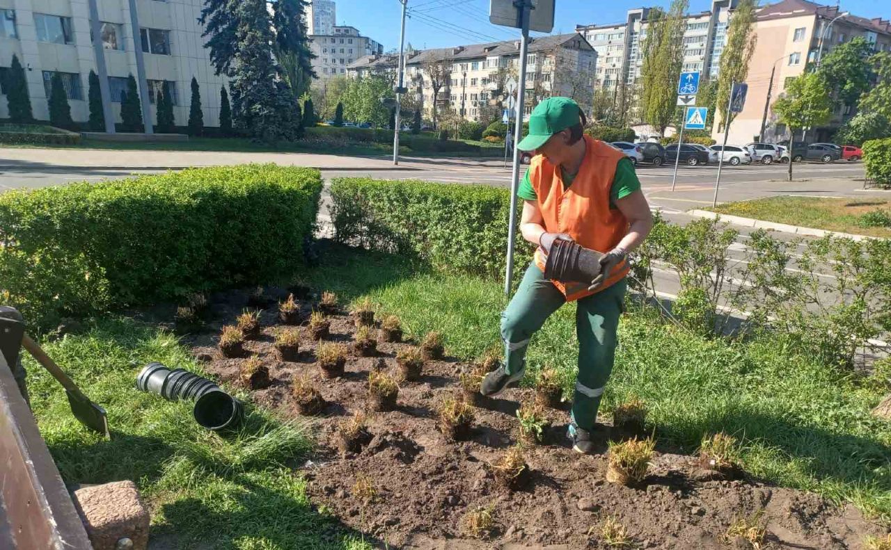 Висадка квітників «нової хвилі». Фото: КП УЗН Дніпровського району