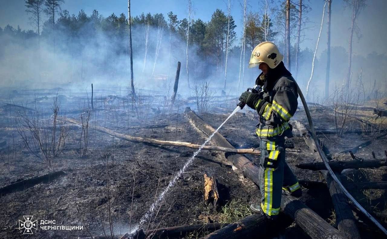 Рятувальники намагаються локалізувати вогонь на безпечній відстані від кордону. Фото ілюстративне: ДСНС Чернігівщини