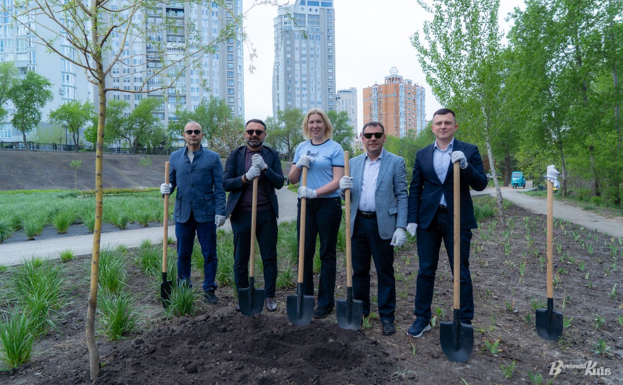 Нова вербова алея стала символом міжнародної співпраці у Києві. Фото: Олексій Самсонов