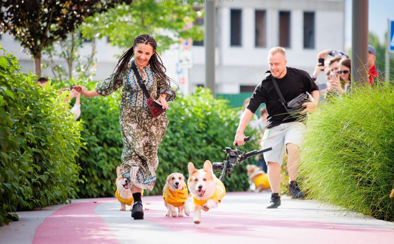 За рік роботи локація стала центром формування pet-friendly спільноти. Фото надані пресслужбою