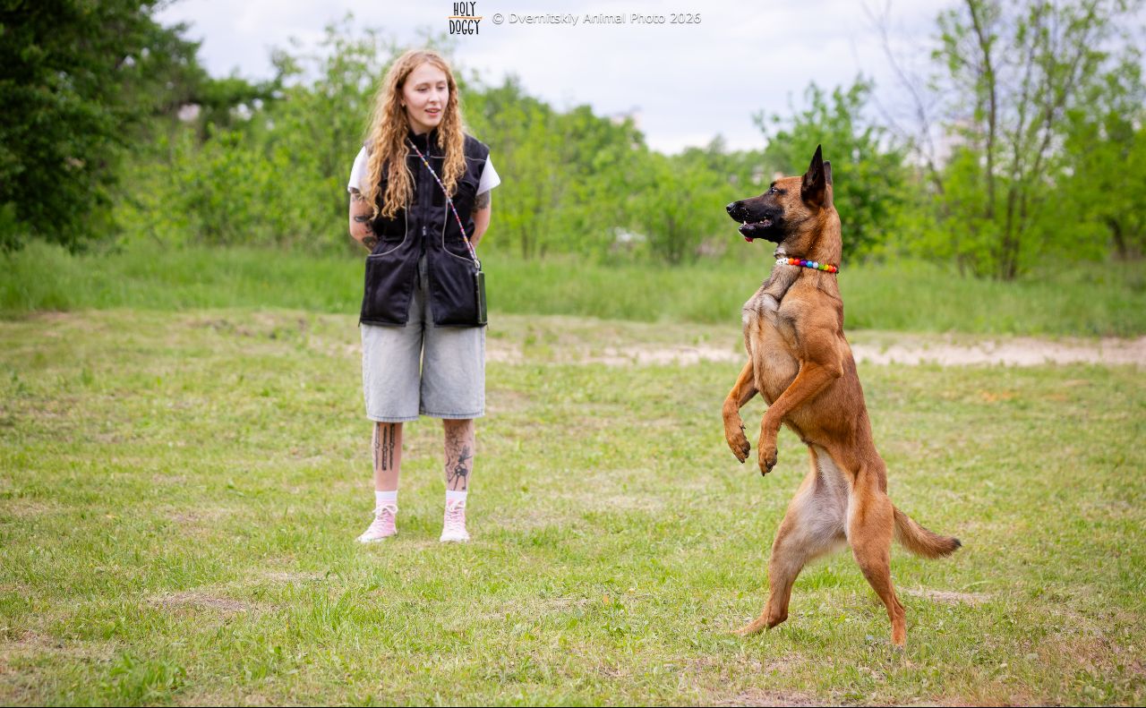 Показовий виступ з обідієнс від кінологині PAWWER Валерії та її собаки Ахави